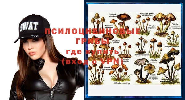 дживик Алексеевка