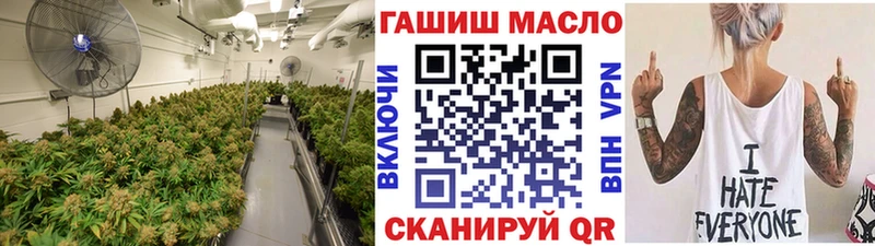 OMG маркетплейс  где можно купить   Заволжск  ТГК гашишное масло 